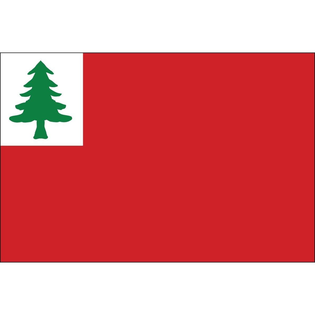 [60555] Continental 3' x 5' Outdoor Nylon Flag