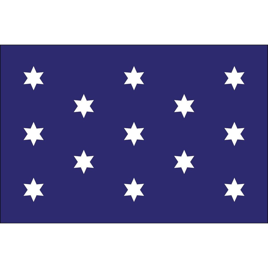 [60740] Washington's Commander-in-Chief 3' x 5' Outdoor Nylon Flag