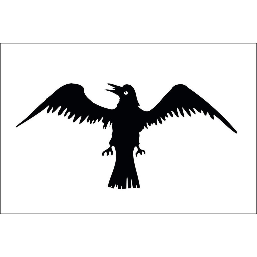 [60575] Raven 3' x 5' Outdoor Nylon Flag