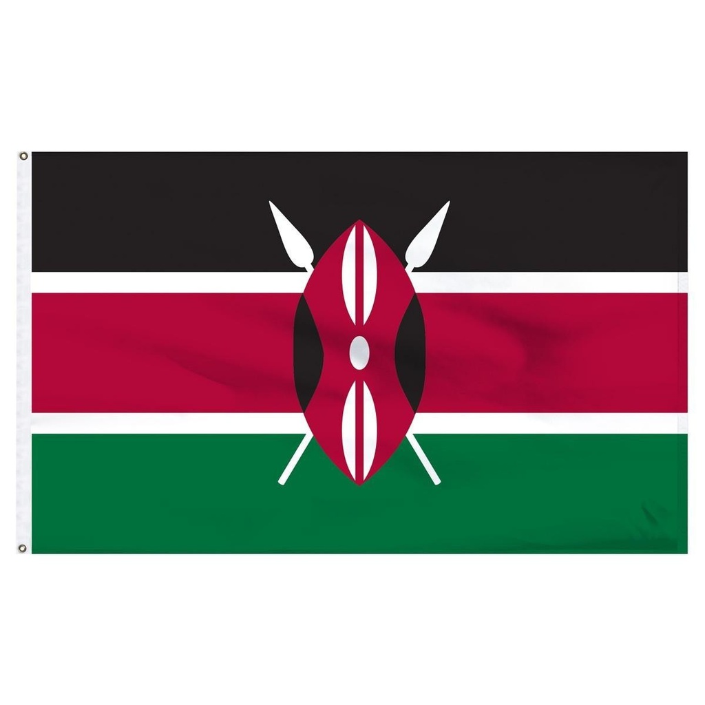 Kenya 2' x 3' Light Weight Polyester