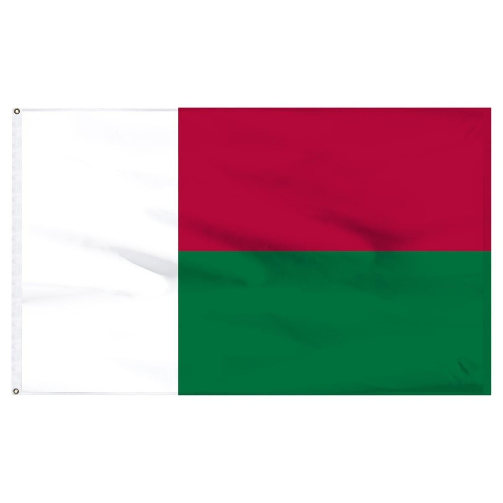 Madagascar 2' x 3' Light Weight Polyester