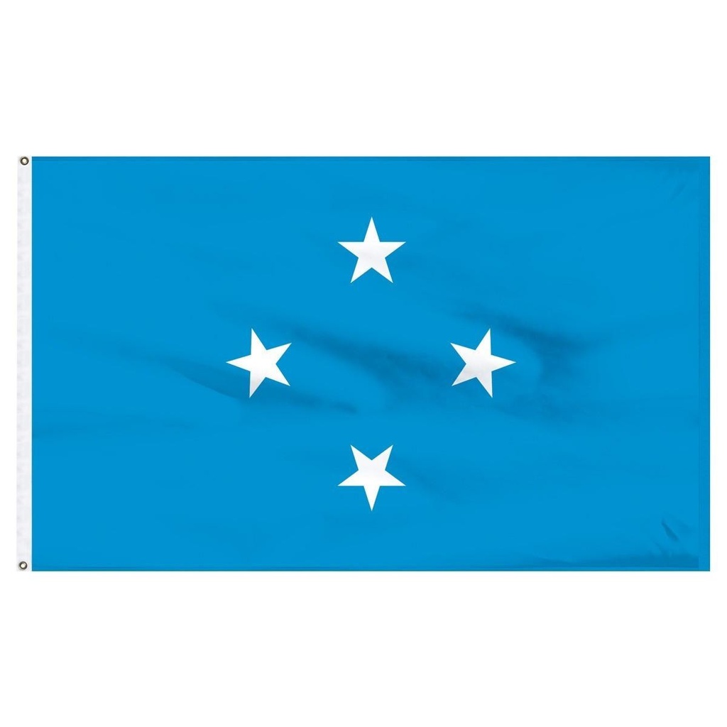 Micronesia 2' x 3' Light Weight Polyester