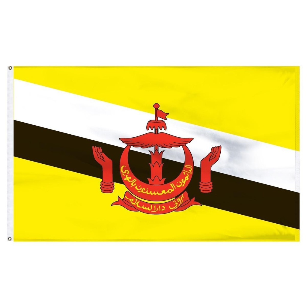 Brunei 2' x 3' Outdoor Nylon Flag