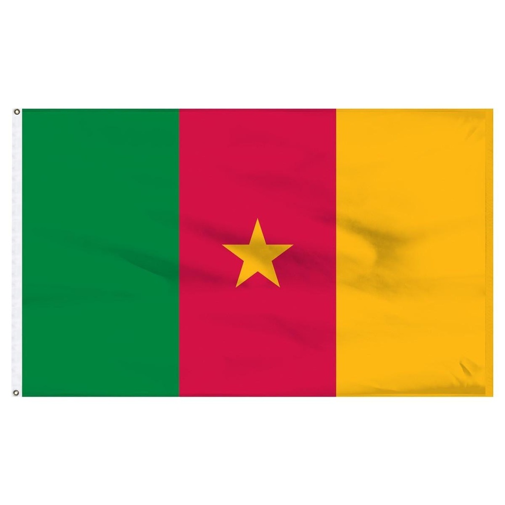 Cameroon 2' x 3' Outdoor Nylon Flag