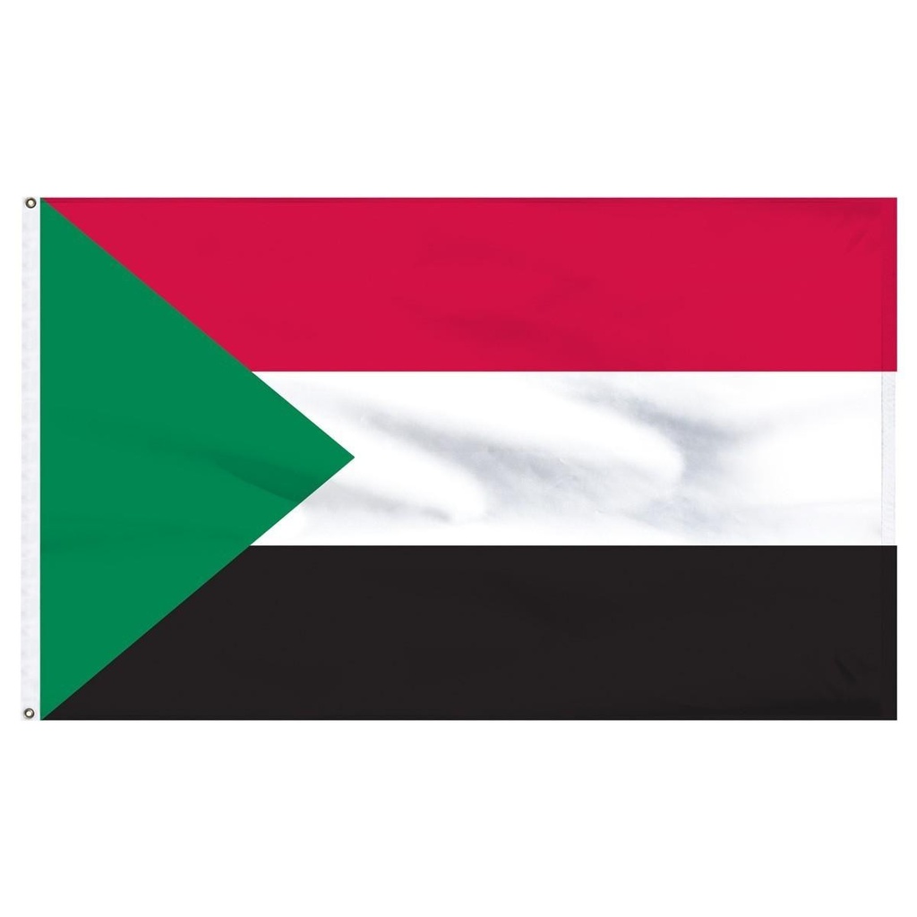 Sudan 2' x 3' Light Weight Polyester