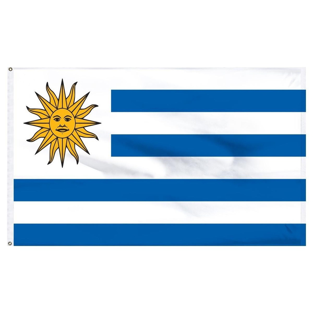 Uruguay 4' x 6' Outdoor Nylon Flag