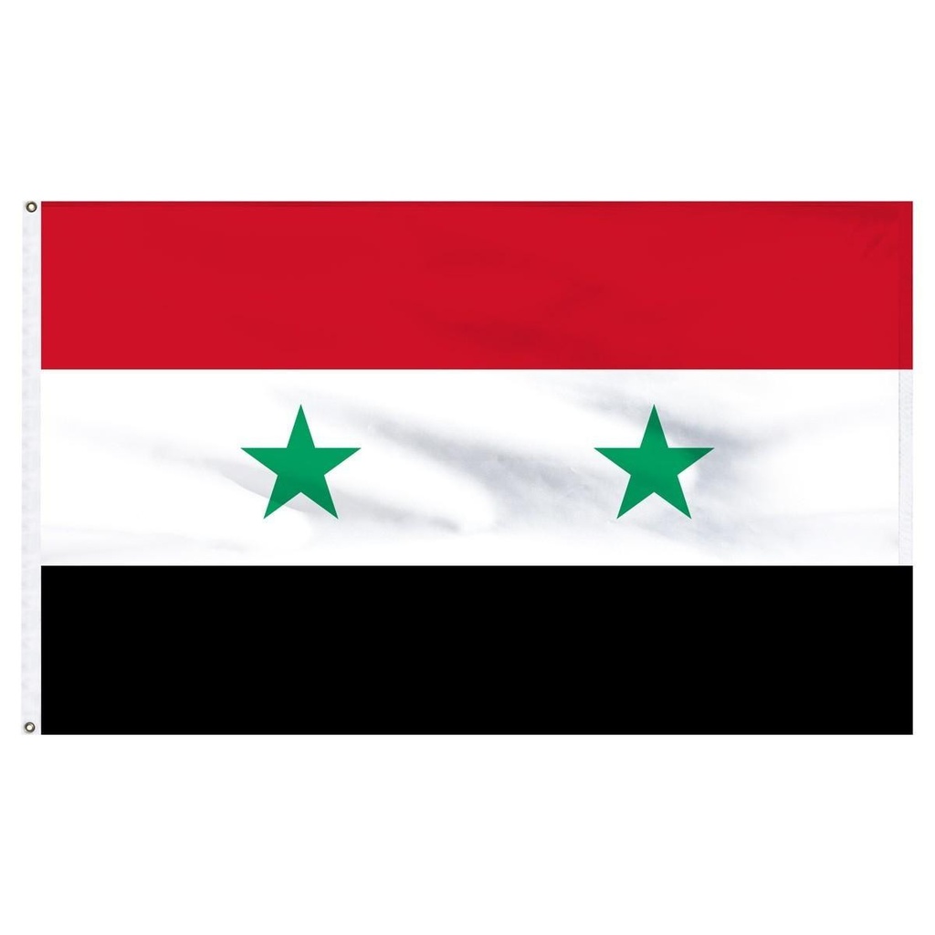 Syria 2' x 3' Light Weight Polyester