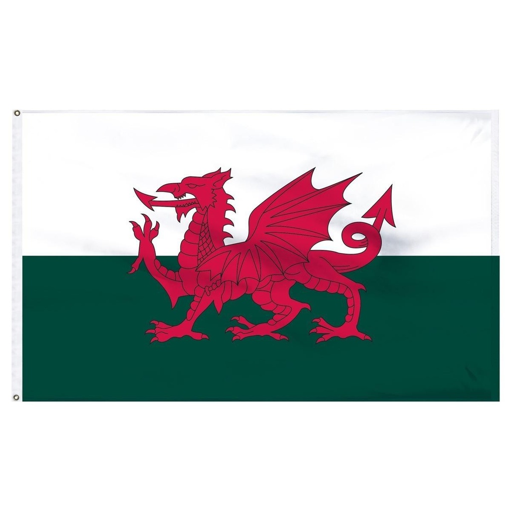 [34507] Wales 4' x 6' Outdoor Nylon Flag