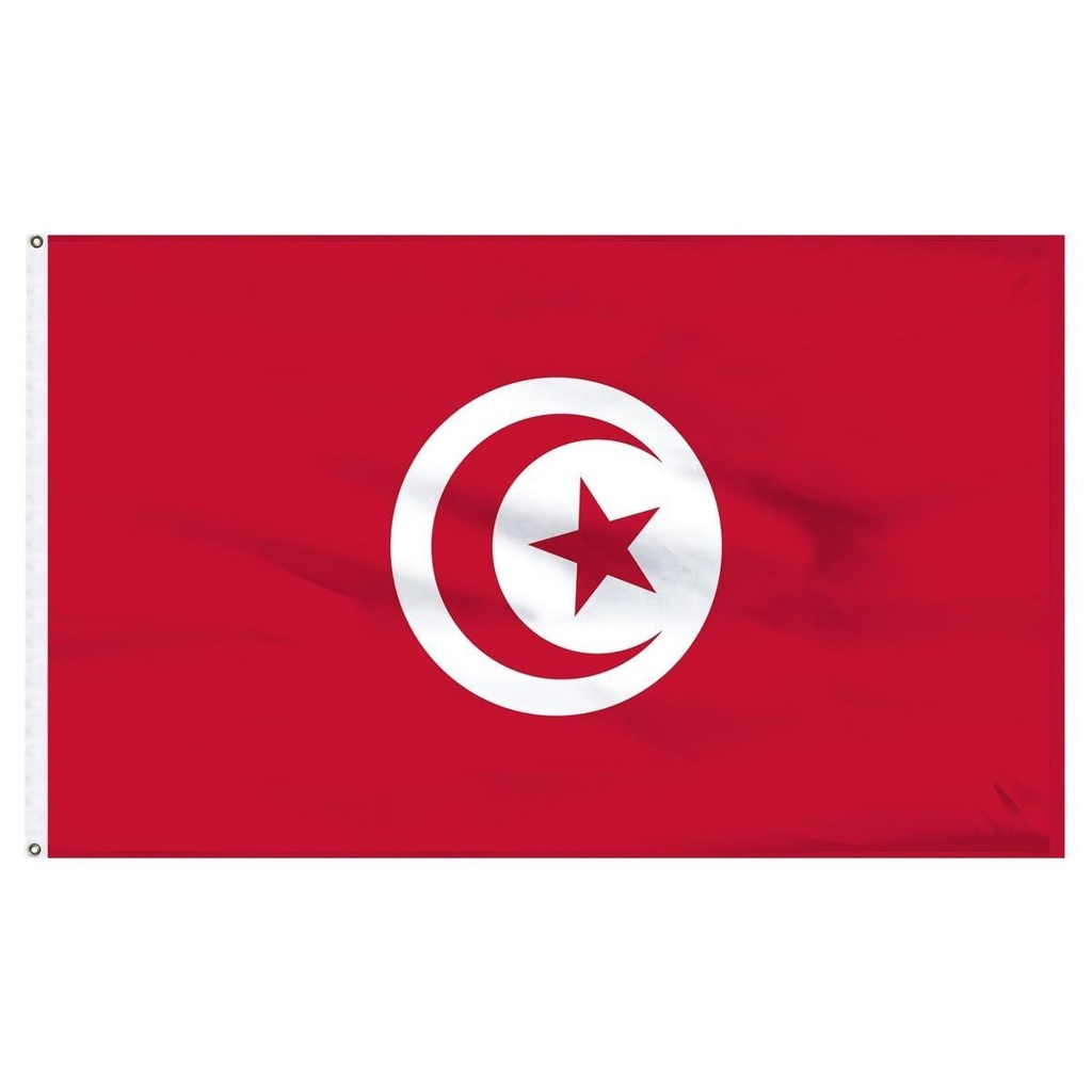 Tunisia 2' x 3' Light Weight Polyester
