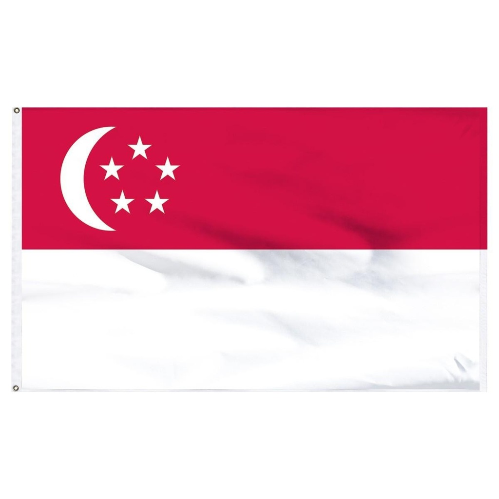 [33743] Singapore 5' x 8' Outdoor Nylon Flag