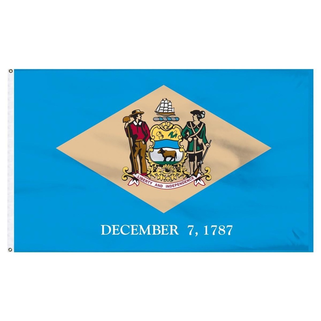 [20266] Delaware 3' x 5' Outdoor Nylon Flag