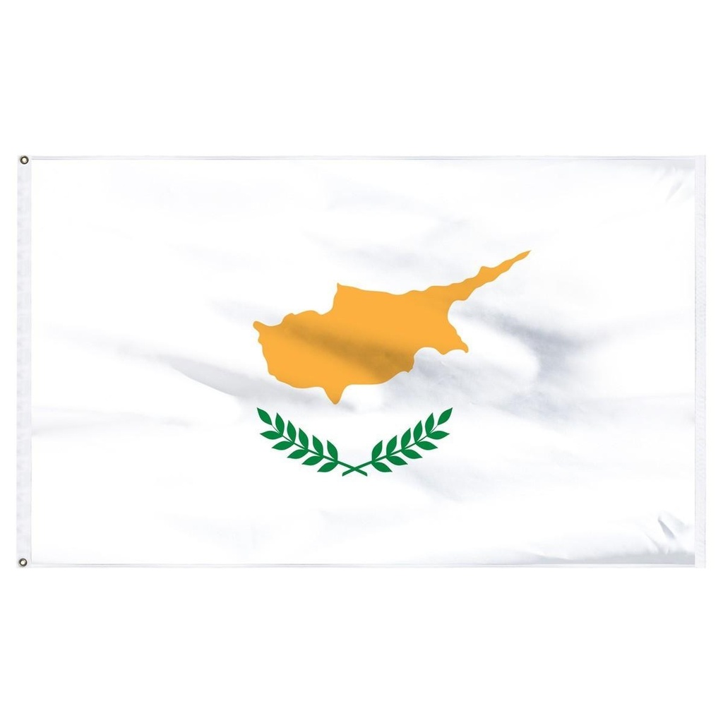 Cyprus 3' x 5' Light Weight Polyester