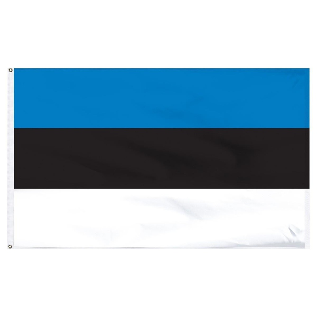 Estonia 3' x 5' Light Weight Polyester