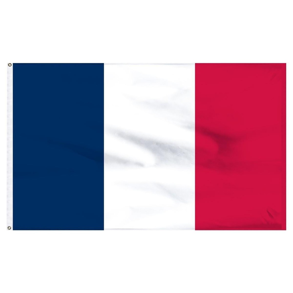 France 3' x 5' Light Weight Polyester