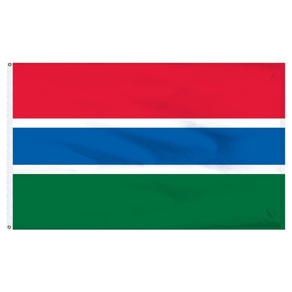 Gambia 3' x 5' Light Weight Polyester