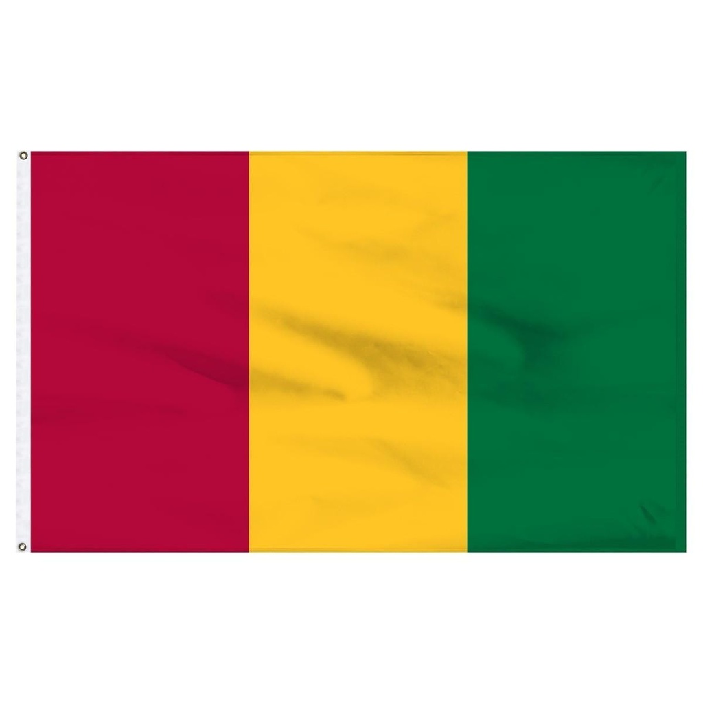 Guinea 3' x 5' Light Weight Polyester