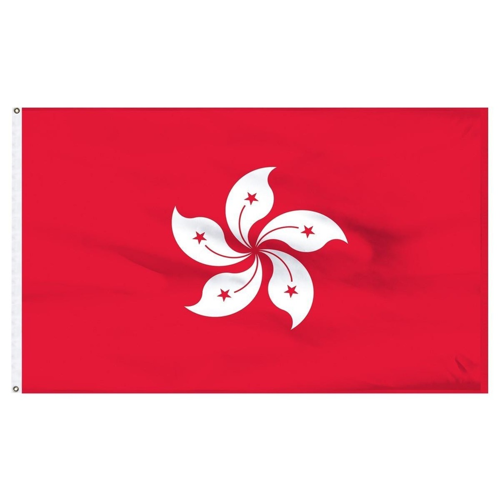 Hong Kong 3' x 5' Light Weight Polyester