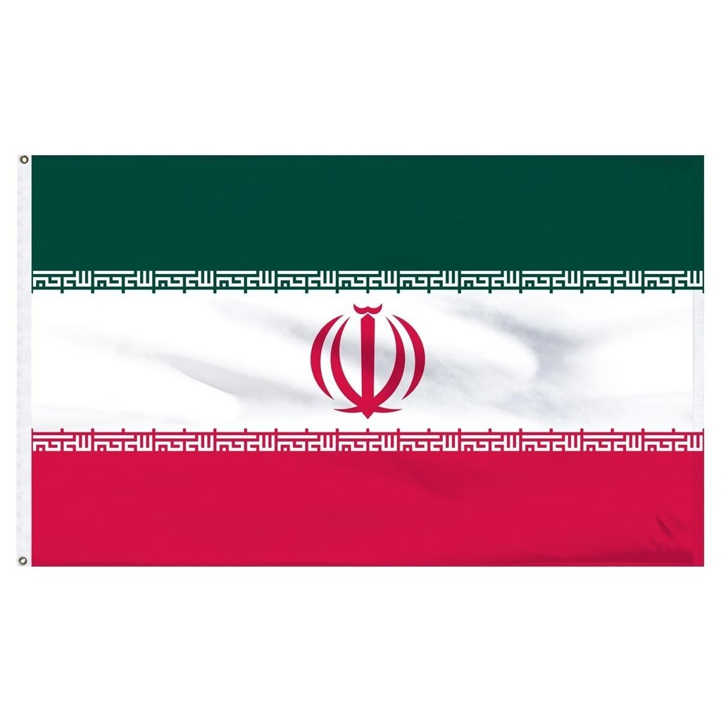 Iran 3' x 5' Light Weight Polyester