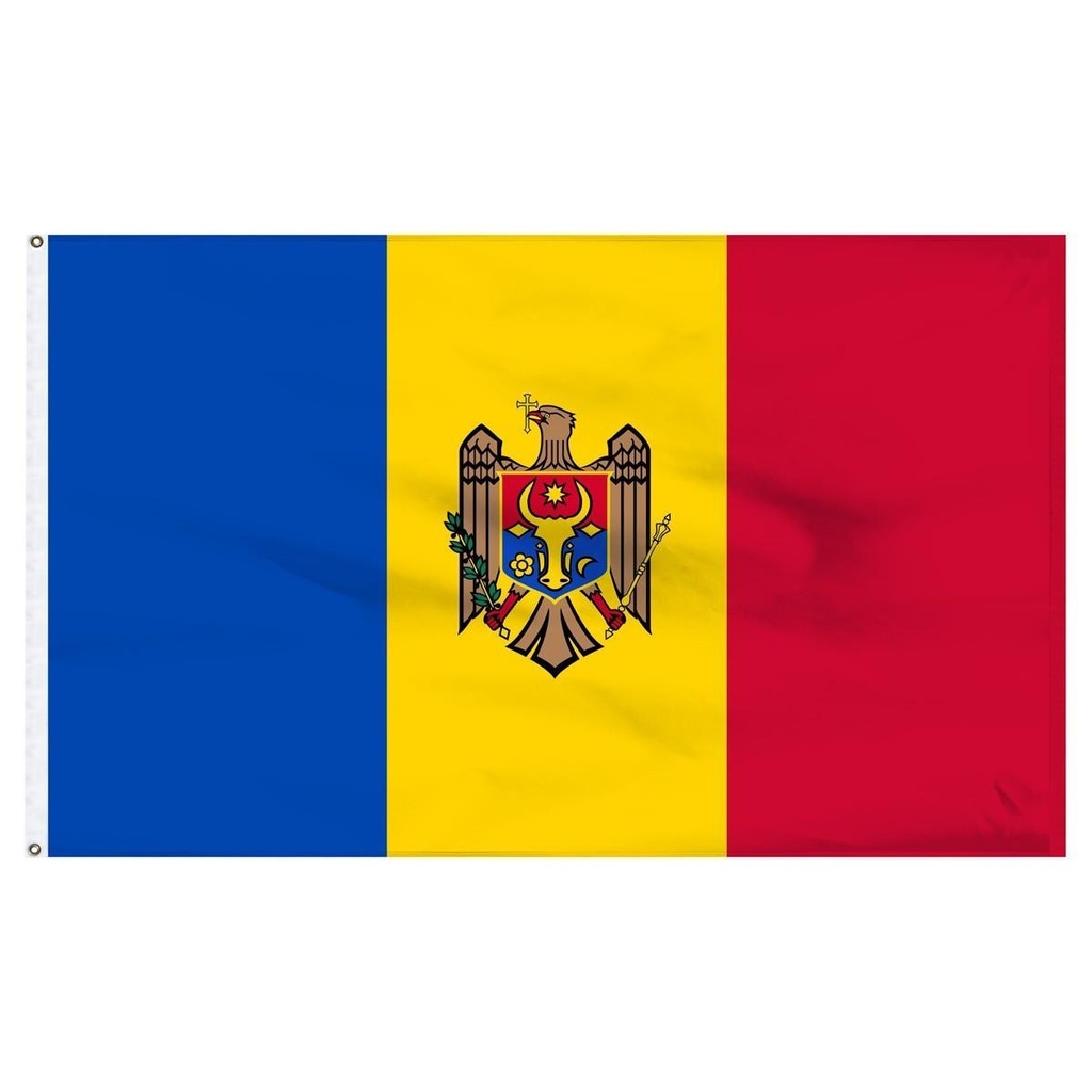 Moldova 3' x 5' Light Weight Polyester