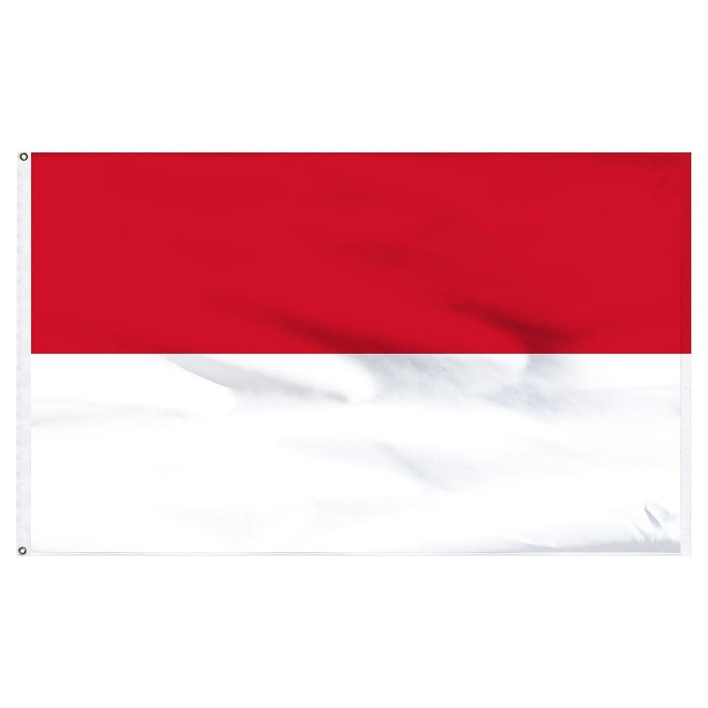 Monaco 3' x 5' Light Weight Polyester