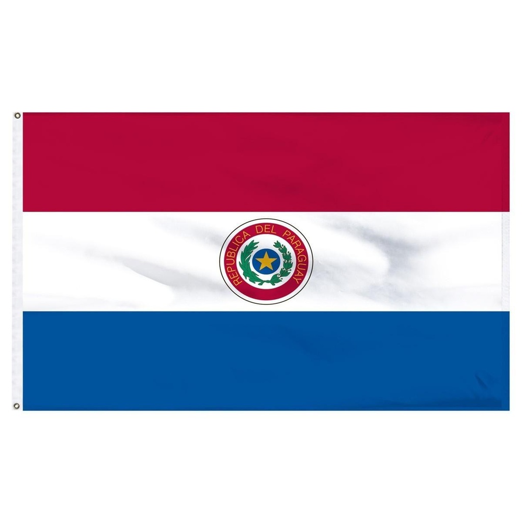 Paraguay 3' x 5' Light Weight Polyester