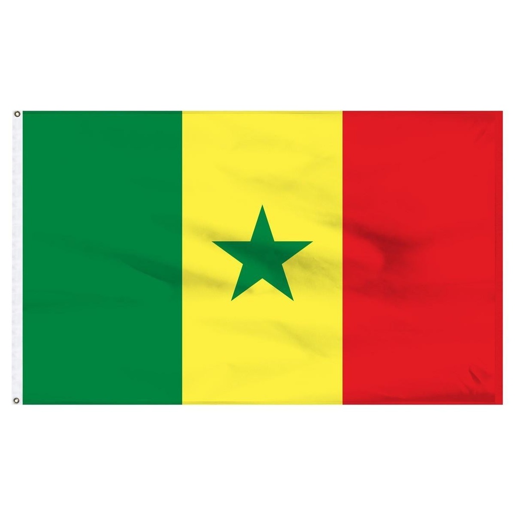 Senegal 3' x 5' Light Weight Polyester