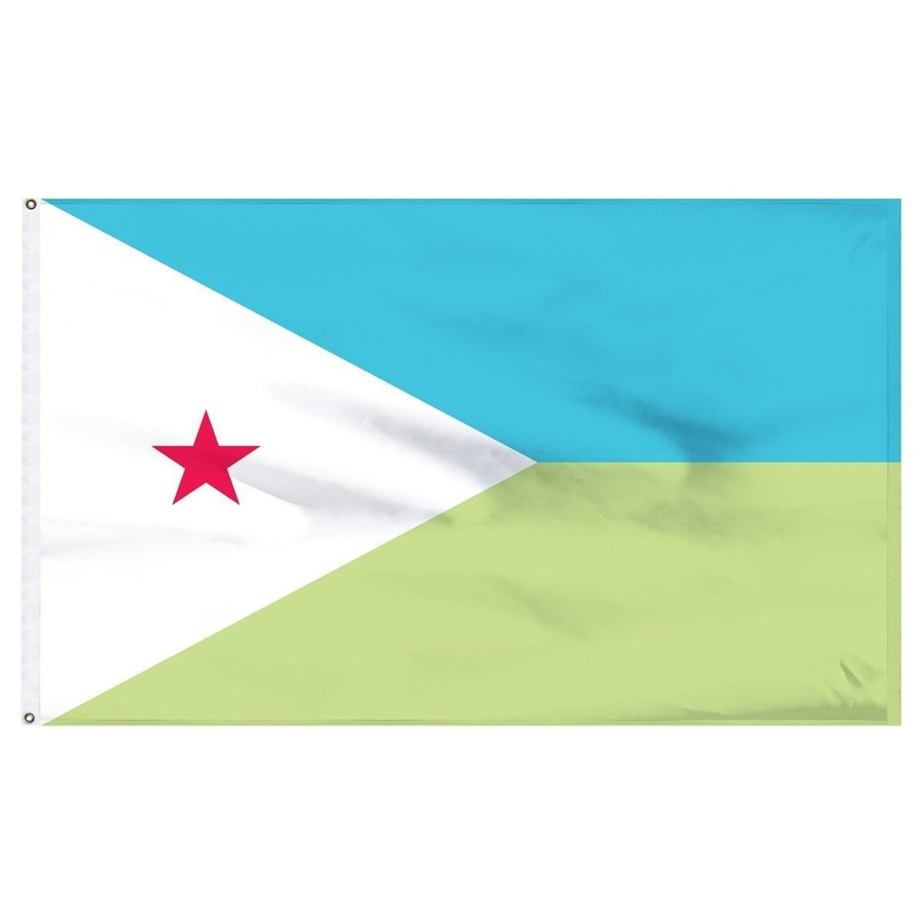Djibouti 2' x 3' Light Weight Polyester