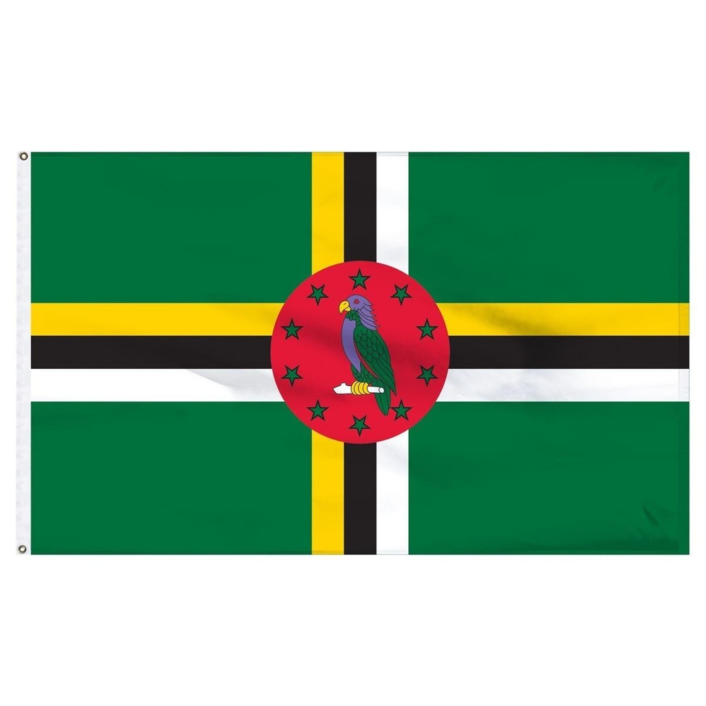 [Dominica23] Dominica 2' x 3' Light Weight Polyester