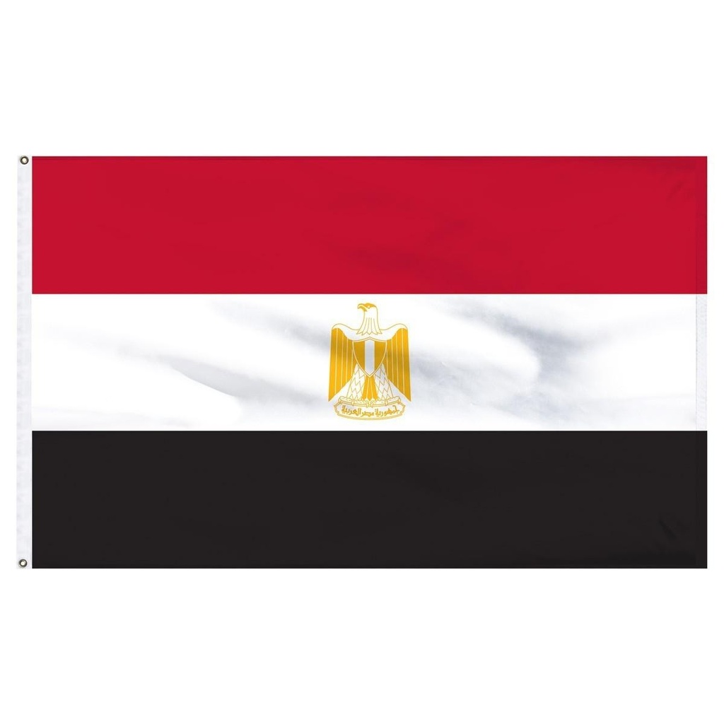 Egypt 2' x 3' Light Weight Polyester