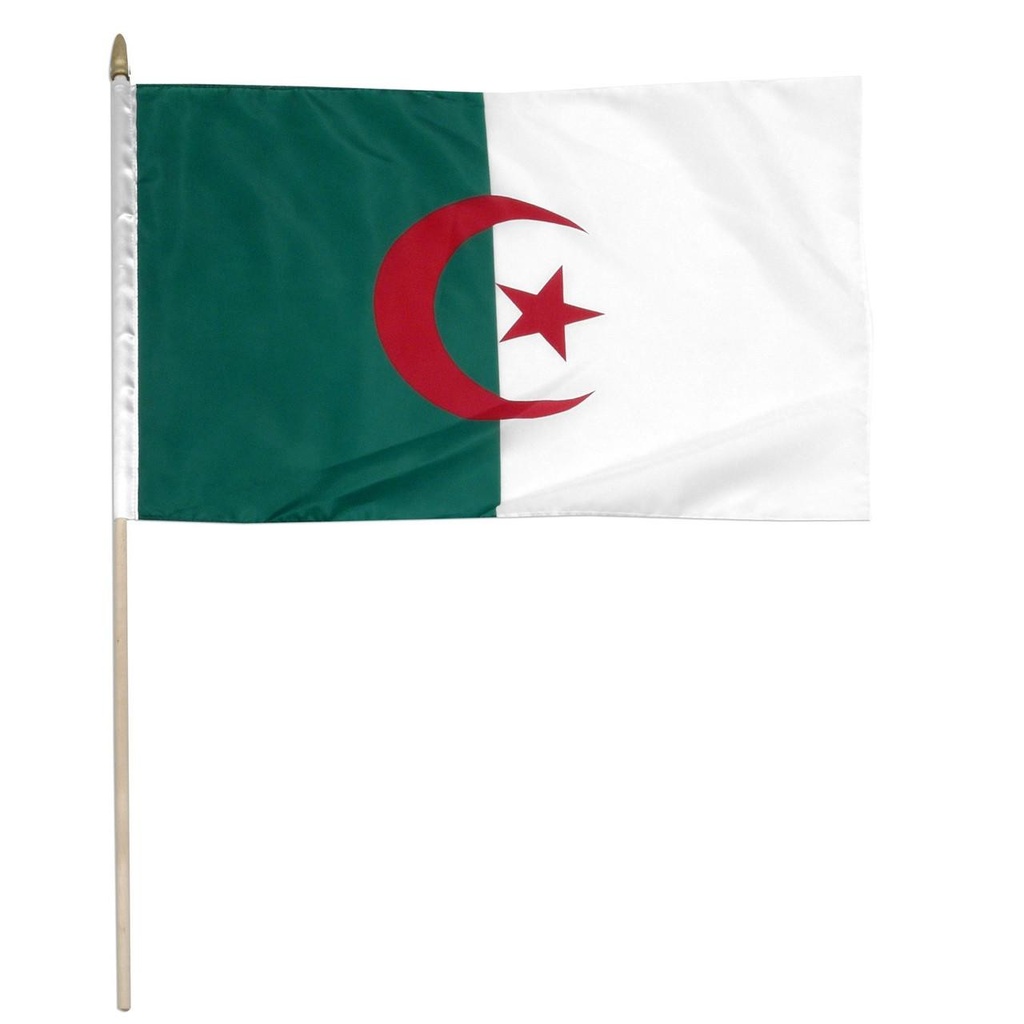 [STI-algeria] Algeria 12" x 18" Mounted Flag