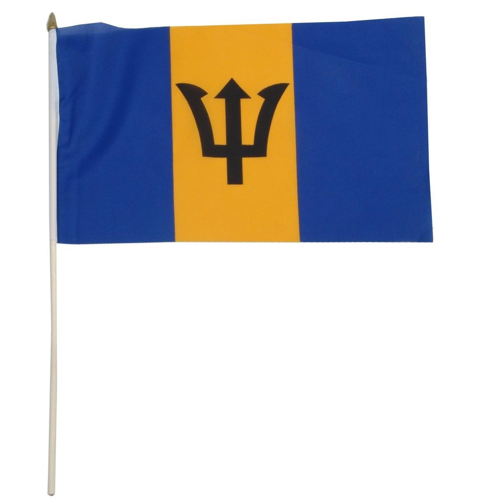 Barbados 12" x 18" Mounted Flag