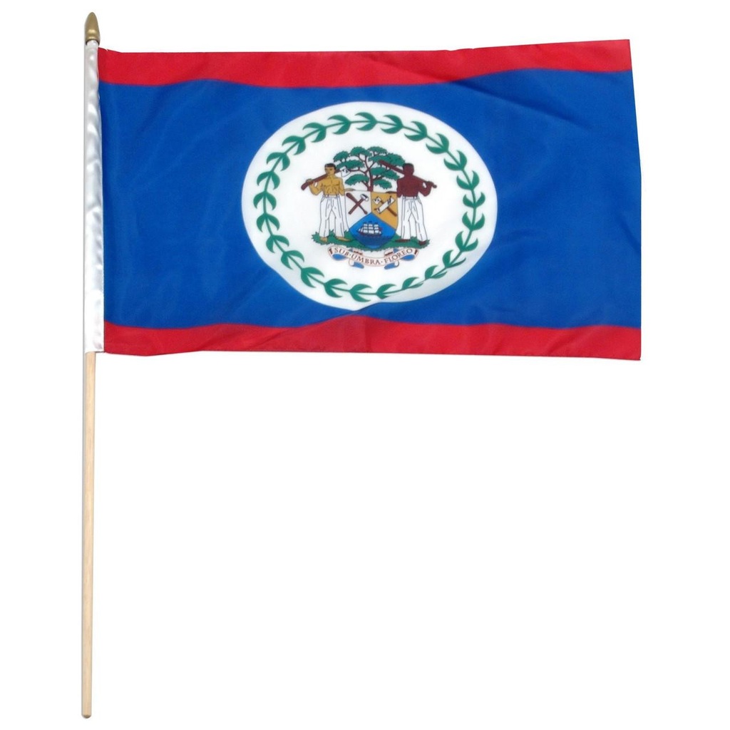 [STI-Belize] Belize 12" x 18" Mounted Flag