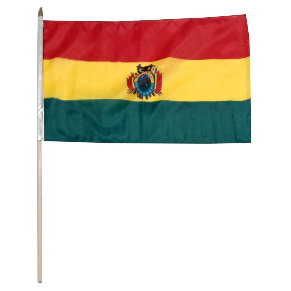 Bolivia 12" x 18" Mounted Flag