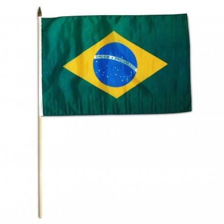 Brazil 12" x 18" Mounted Flag