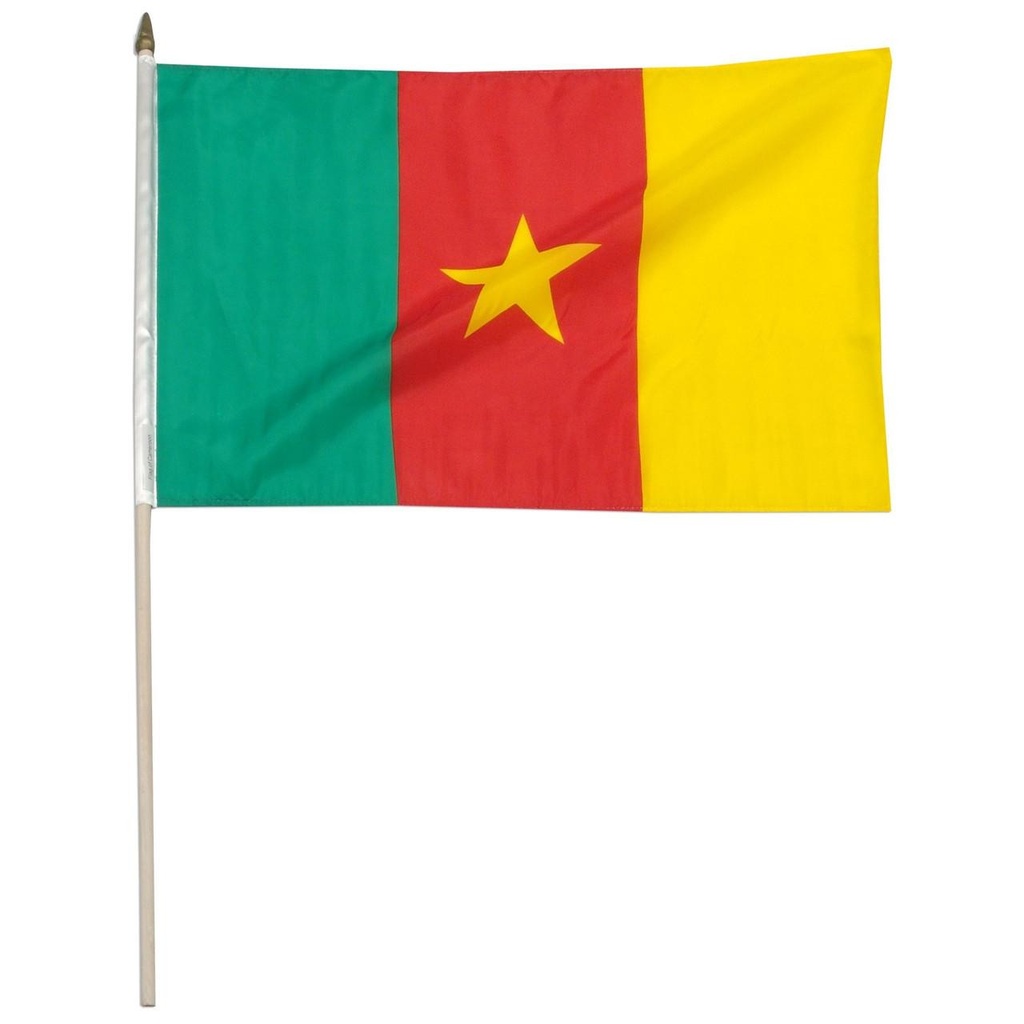 [STI-Cameroon] Cameroon 12" x 18" Mounted Flag