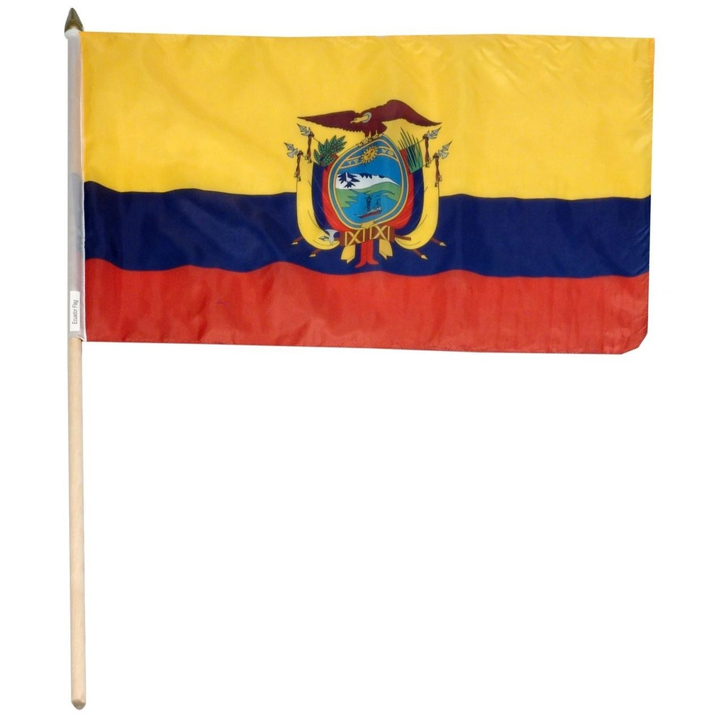 Ecuador 12" x 18" Mounted Flag