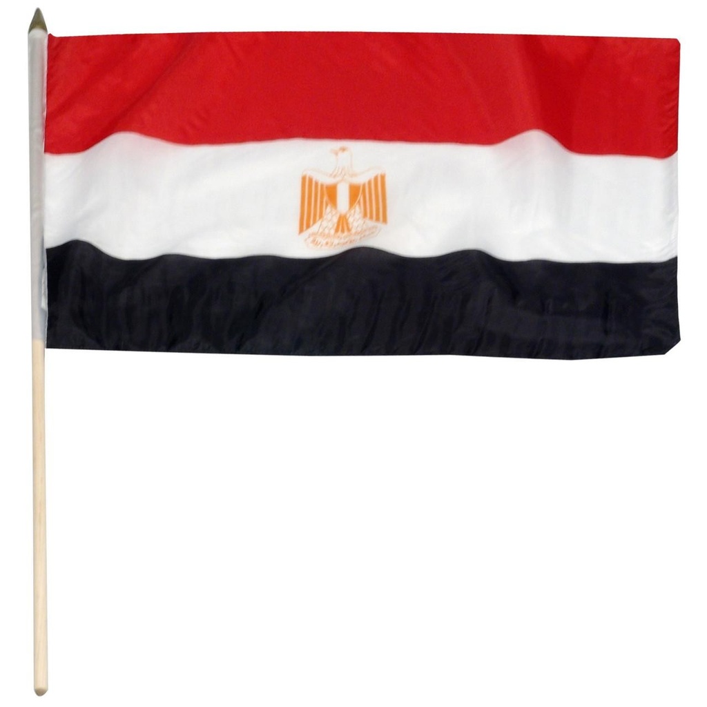 [STI-Egypt] Egypt 12" x 18" Mounted Flag