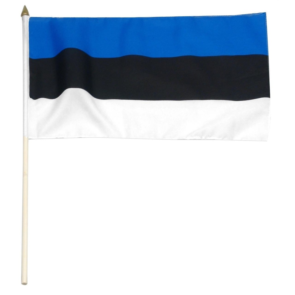 Estonia 12" x 18" Mounted Flag