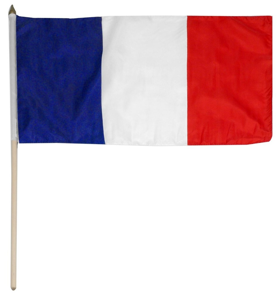 France 12" x 18" Mounted Flag