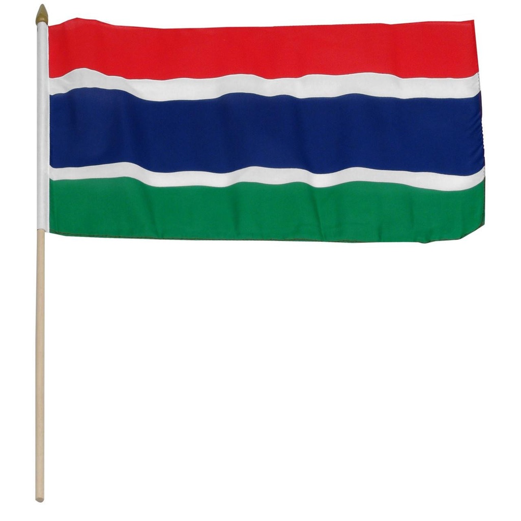 Gambia 12" x 18" Mounted Flag