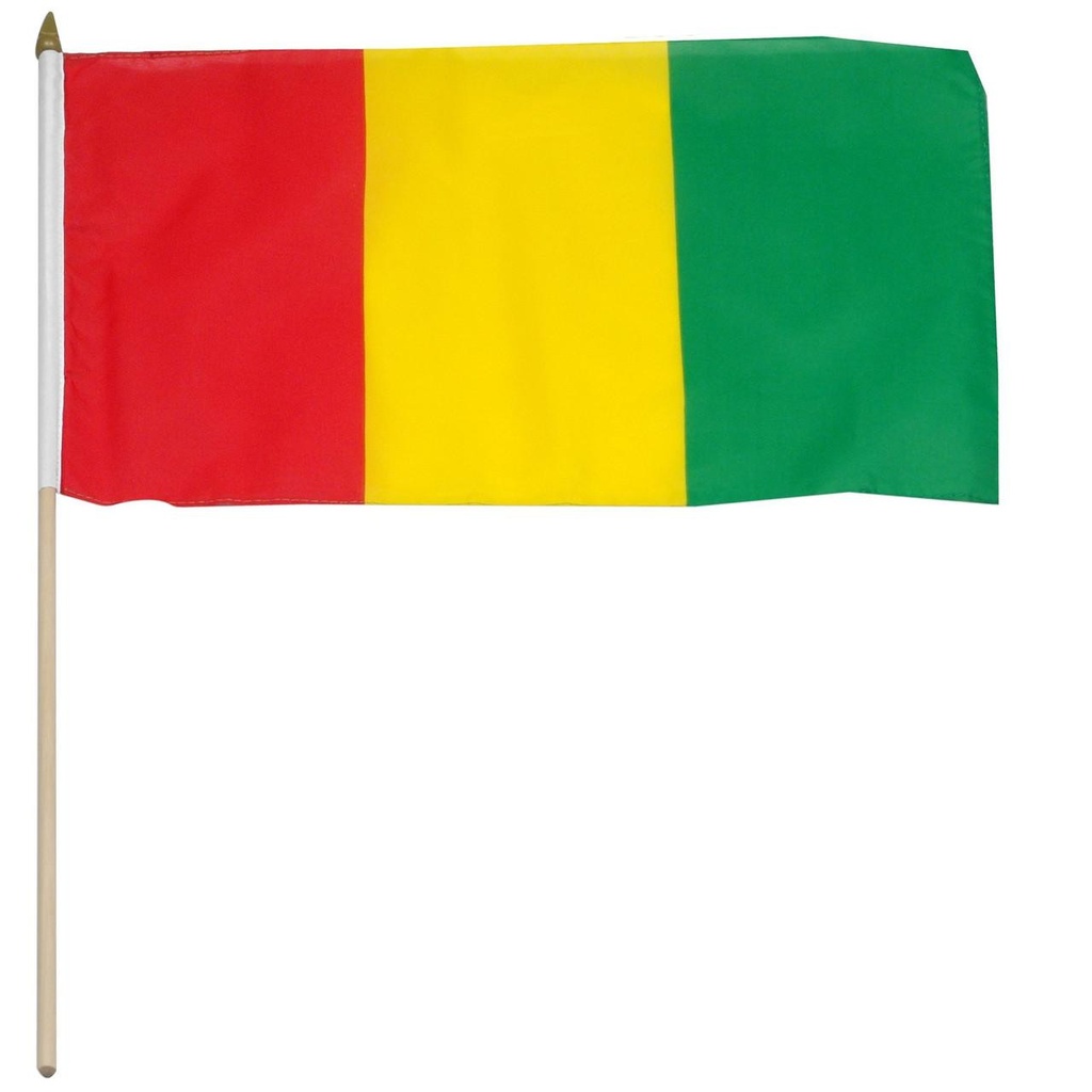 Guinea 12" x 18" Mounted Flag