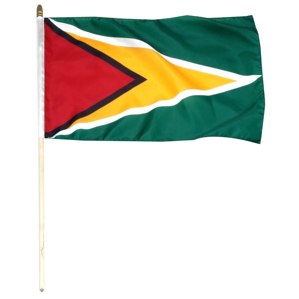 Guyana 12" x 18" Mounted Flag