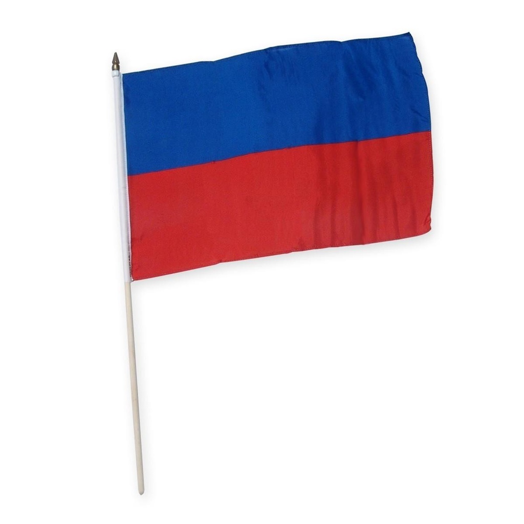 Haiti 12" x 18" Mounted Flag