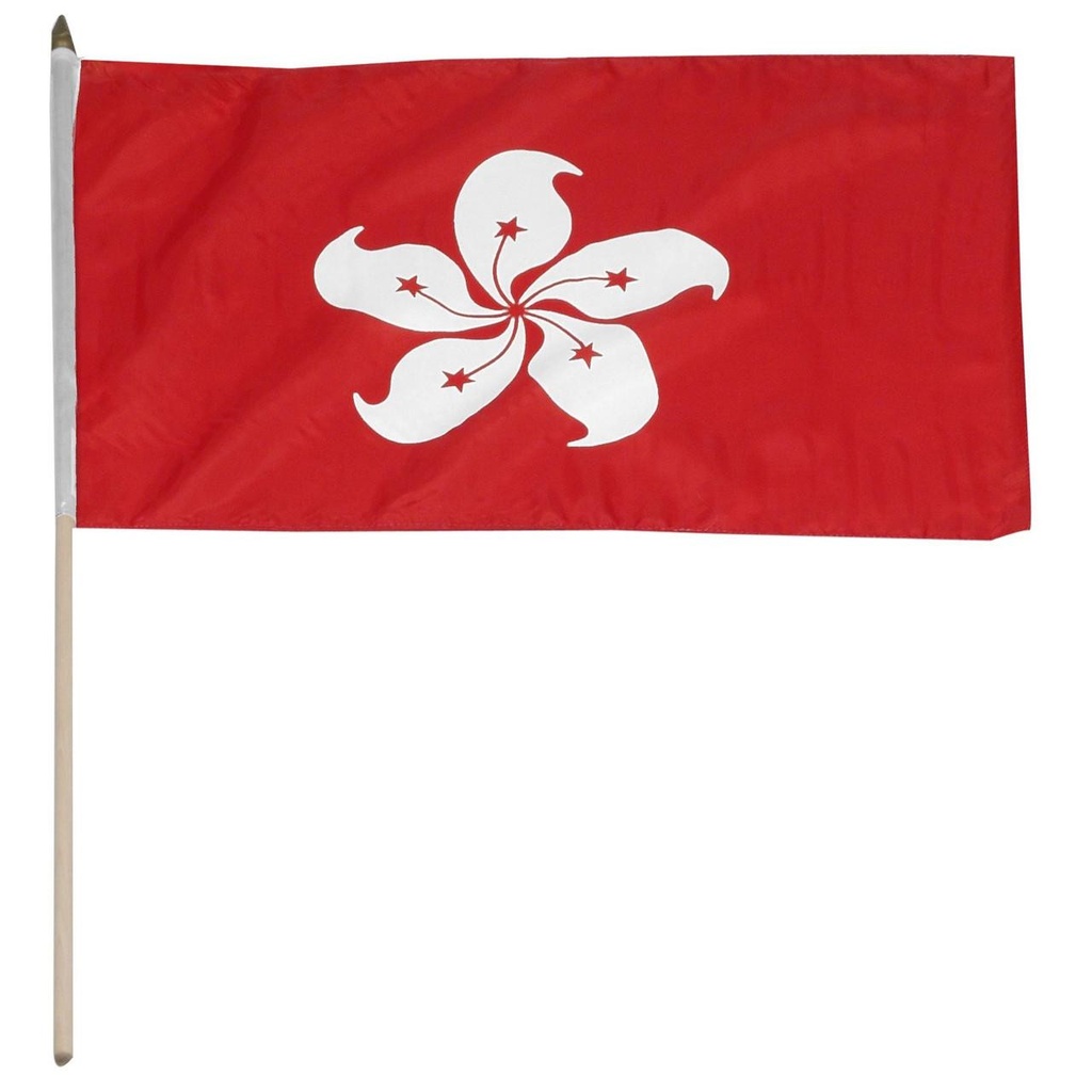 Hong Kong 12" x 18" Mounted Flag