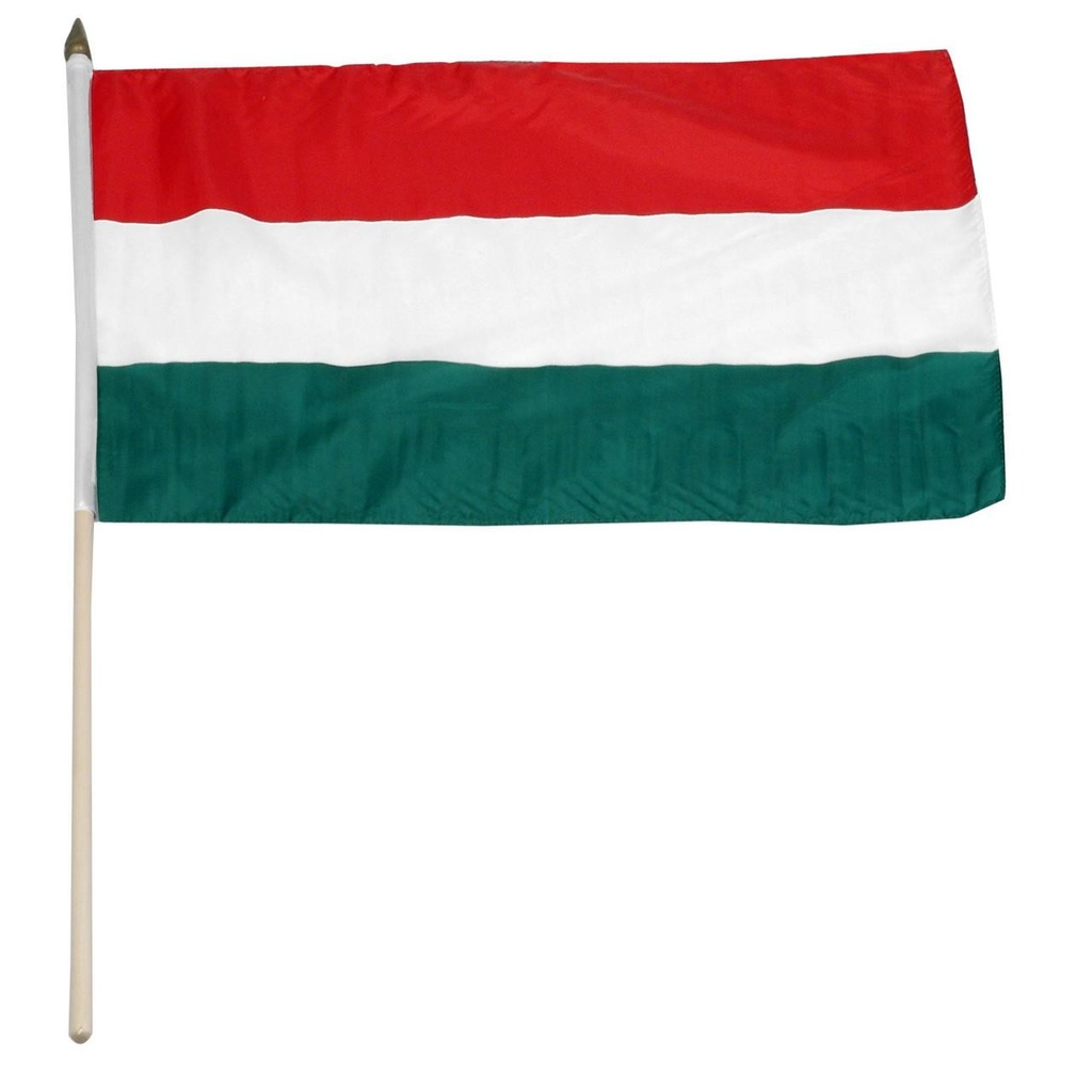 Hungary 12" x 18" Mounted Flag