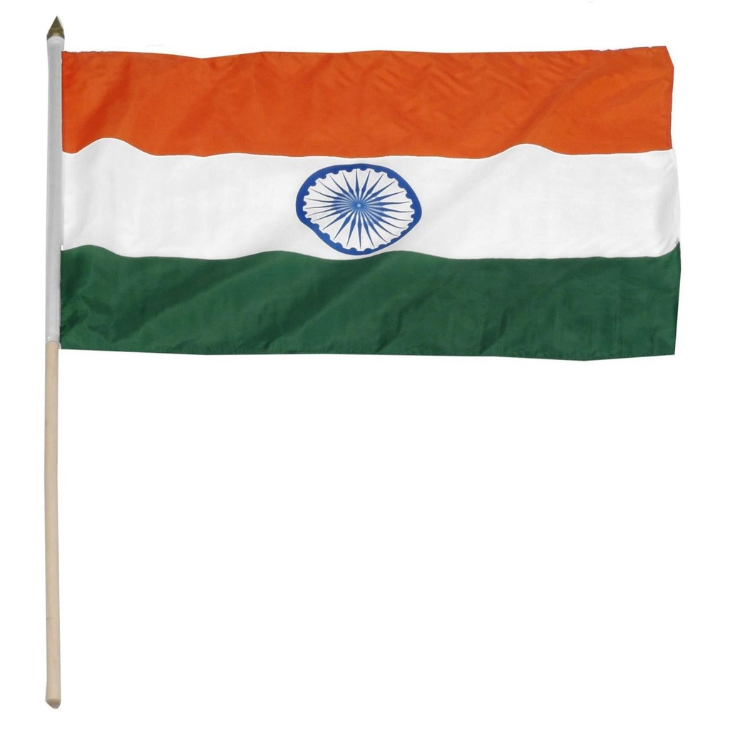 India 12" x 18" Mounted Flag