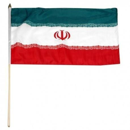 Iran 12" x 18" Mounted Flag
