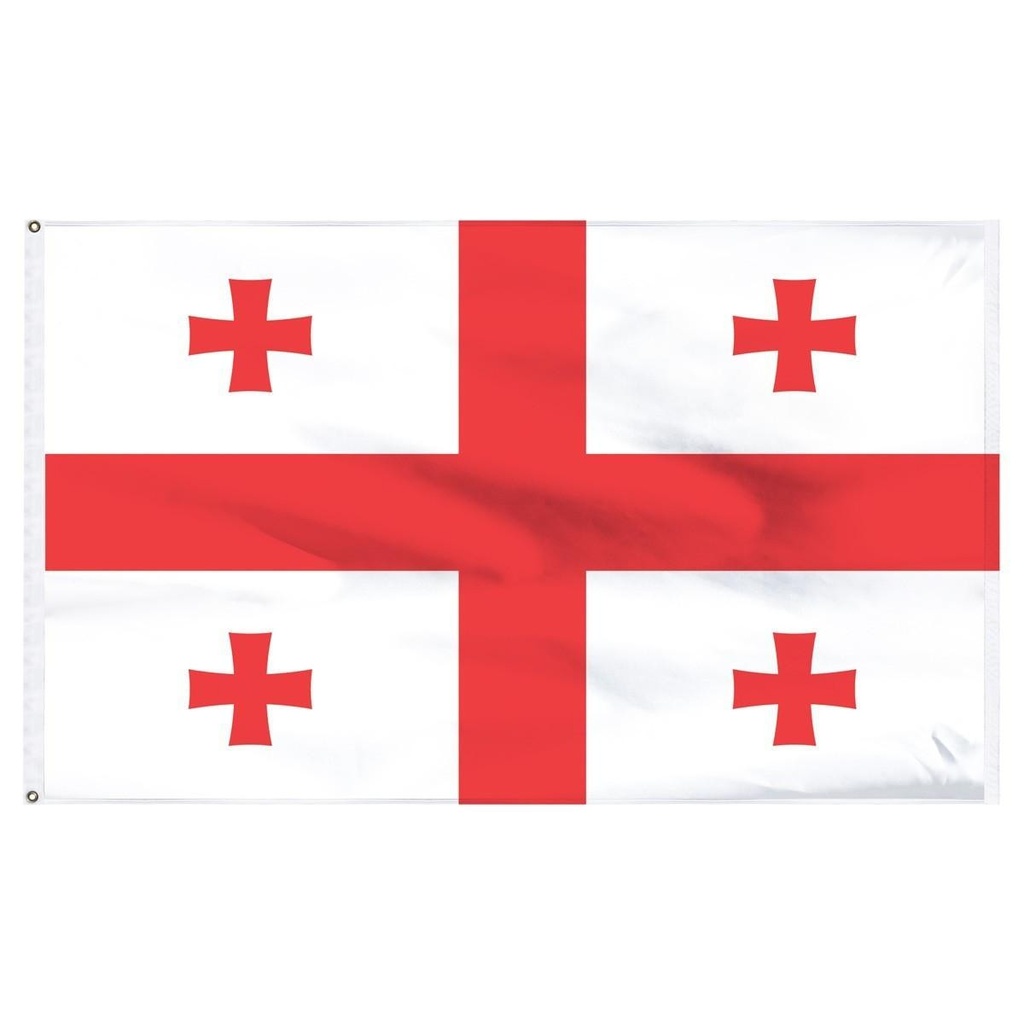 Georgia Republic 2' x 3' Light Weight Polyester