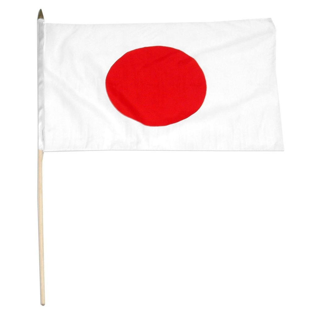 Japan 12" x 18" Mounted Flag