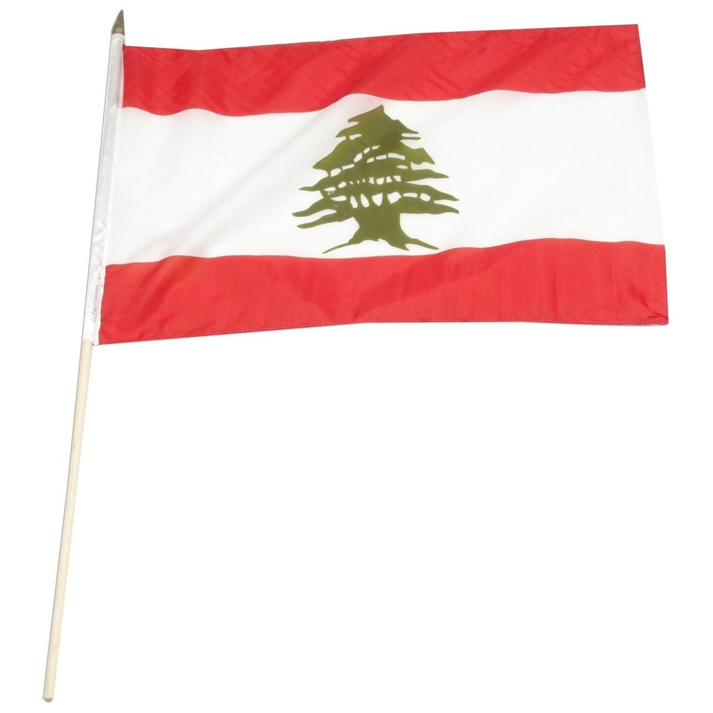 Lebanon 12" x 18" Mounted Flag